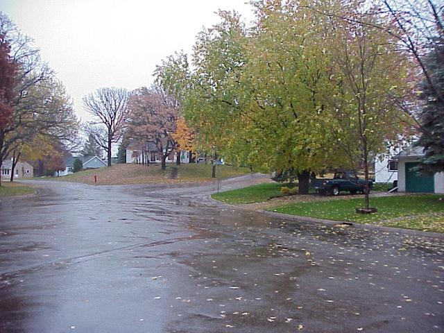 View to the east from the confluence.