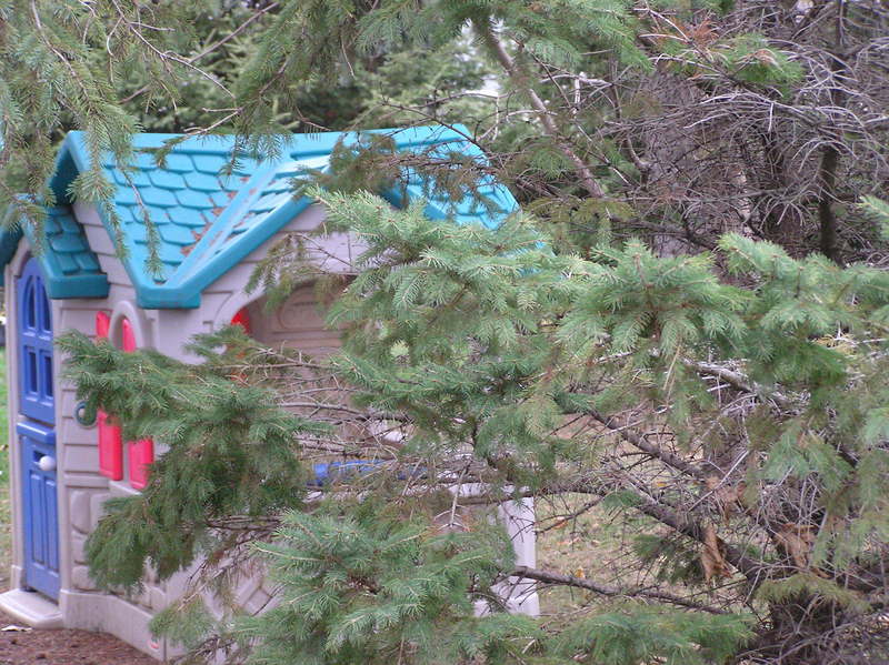 The confluence point lies close to this child's playhouse