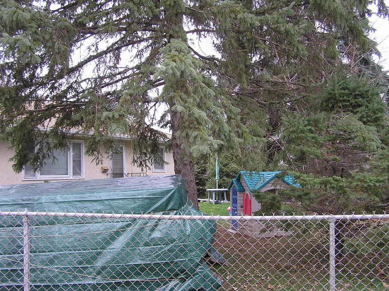 View West (showing the front yard where the confluence point lies)