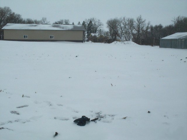 View to west, with gloves and GPS marking the confluence. Farmsite in background.