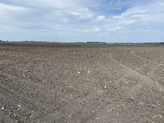 #1: The site of the confluence, in the foreground, looking northeast.