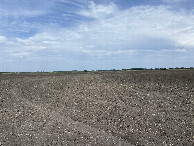 #3: The view to the east from the confluence point.