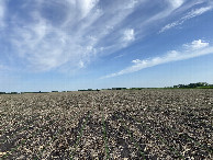 #4: The view to the south with some awesome clouds from the confluence point.