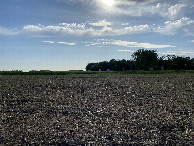 #5: The view to the west from the confluence point.