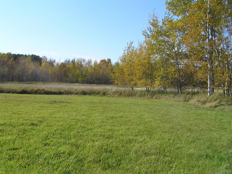 View to the west from the confluence.