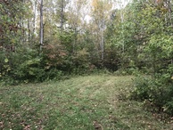 #10: The cleared path pointing to the confluence.  From the end of this path, one needs to crouch and walk through the trees and shrubs.