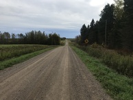 #9: Nearest road to the confluence, about 87 meters east of the point, looking south. 