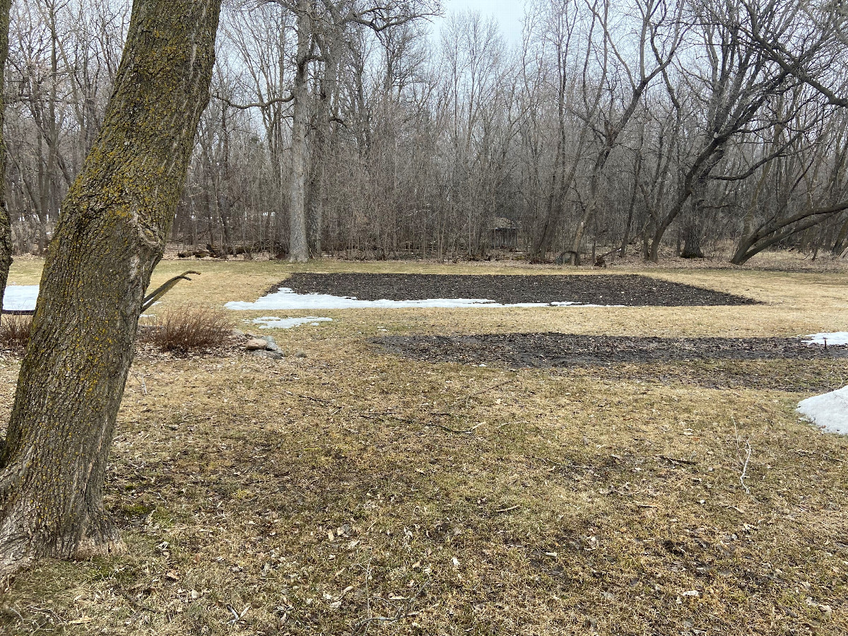 View to the north from the confluence point.