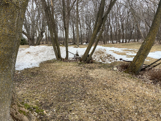 #1: View of the confluence, in the immediate foreground, looking north-northeast.