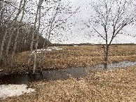 #5: View to the southwest from road north of the point, to avoid taking any photos of the landowners' structures. 