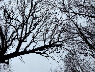 #6: Sky view at the confluence point. 