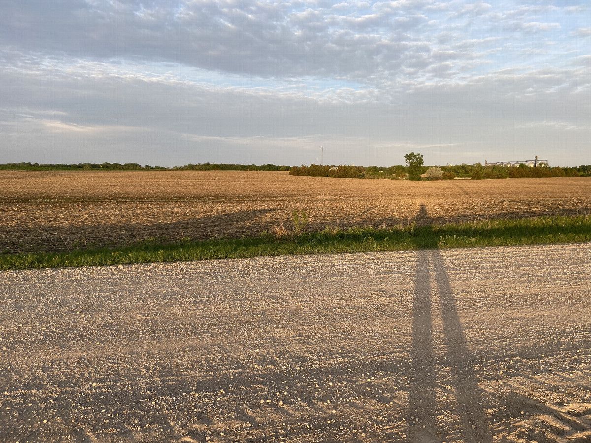 Long shadow view to the east from the nearest road to the confluence point.