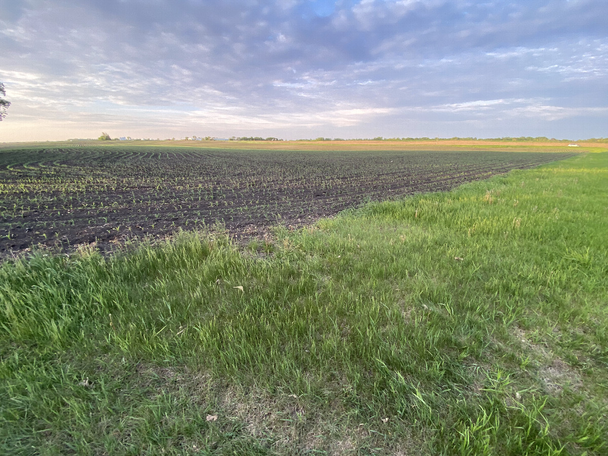 The confluence point lies in the foreground of this view to the northeast.