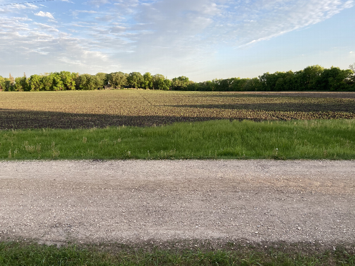 The view to the south from the confluence point. 