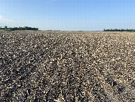 #4: The view to the south from the confluence point.