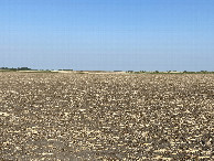 #5: The view to the west from the confluence point.