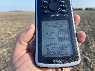 #6: The GPS reading at the confluence point.