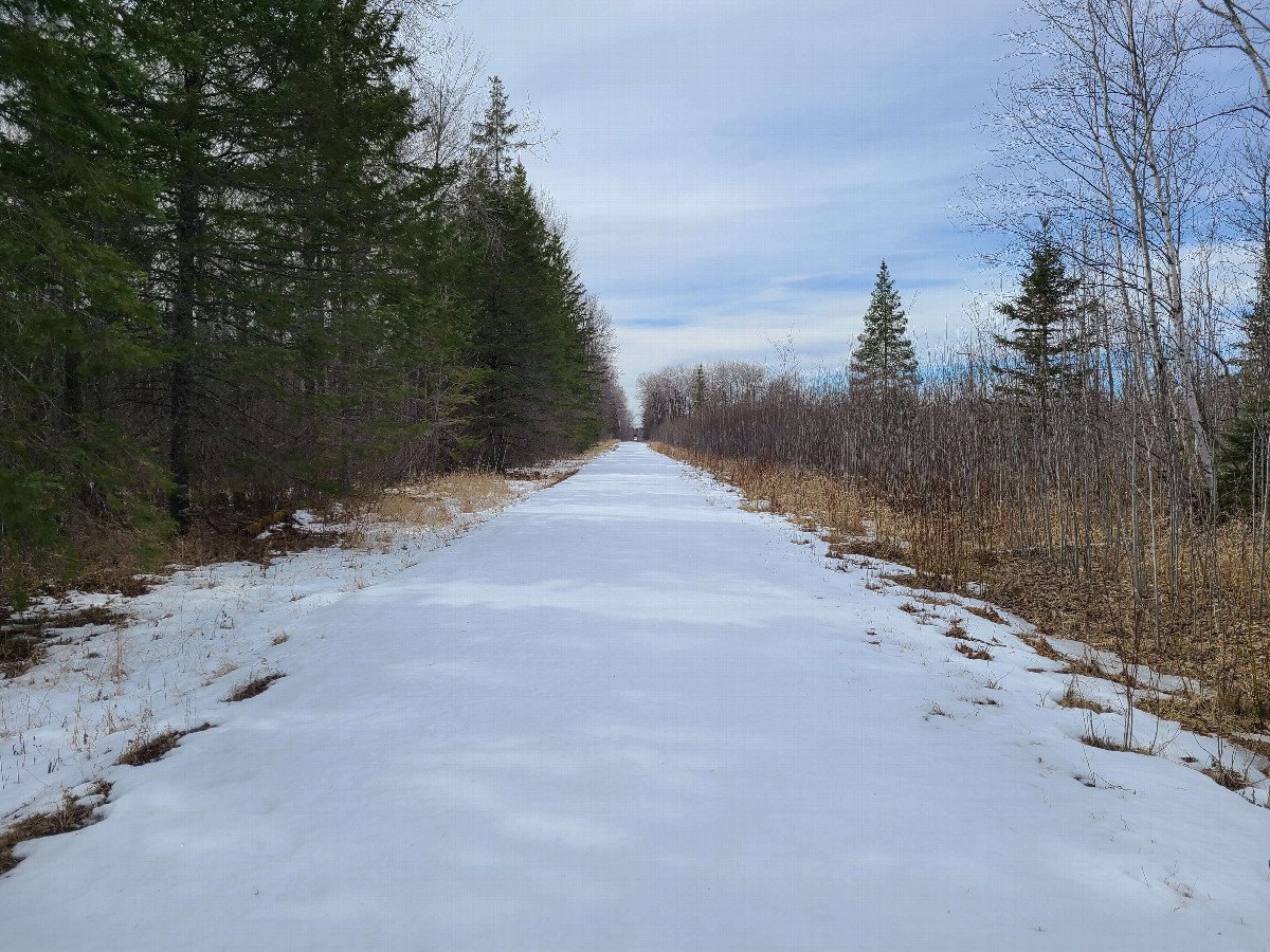 Smith State Forest Road, access point to confluence