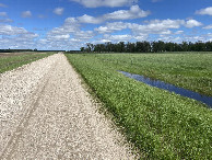 #11: Closest road to the confluence point, looking east.