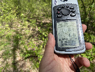 #7: GPS reading at the confluence point. 