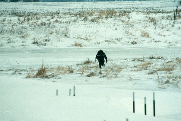 Wading thru the snow