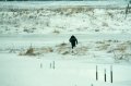 #3: Wading thru the snow