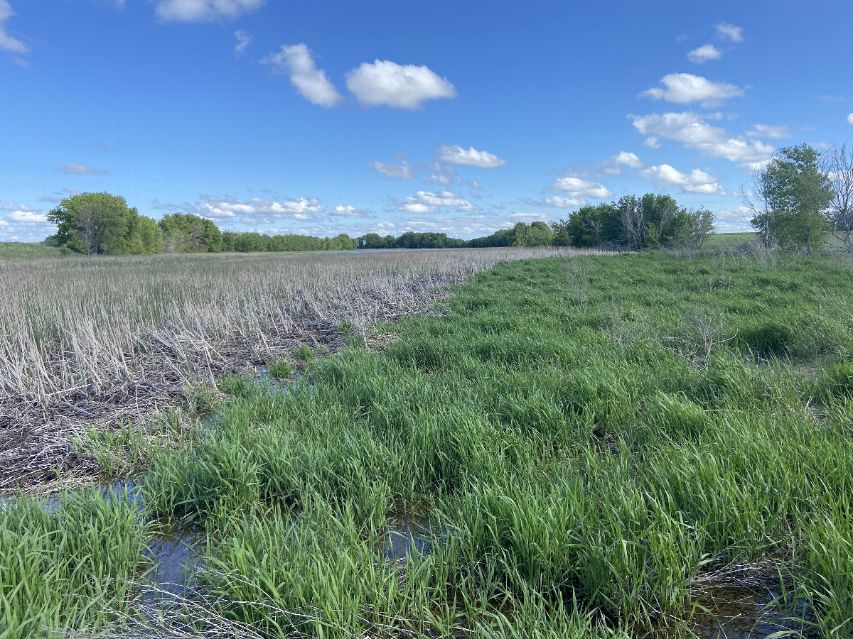 A view to the south from the confluence. 