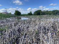 #2: A view to the north from the confluence. 