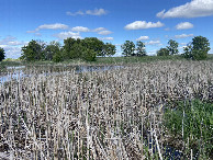 #3: A view to the east from the confluence. 