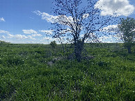 #9: Another view to the west from the confluence. 