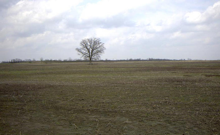 Scene from the confluence facing NE