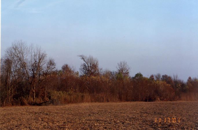 View to the East from confluence