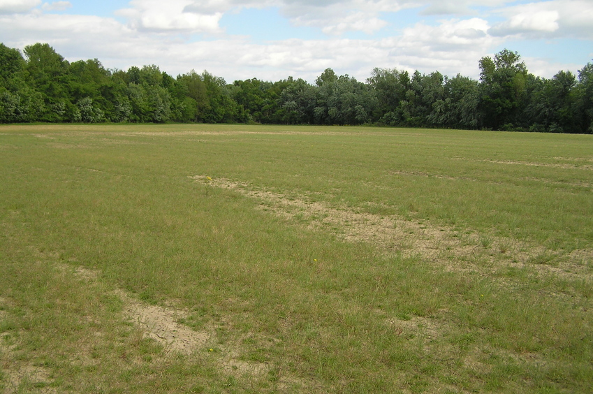 Site of 37 North 90 West, in mid foreground, looking southeast.