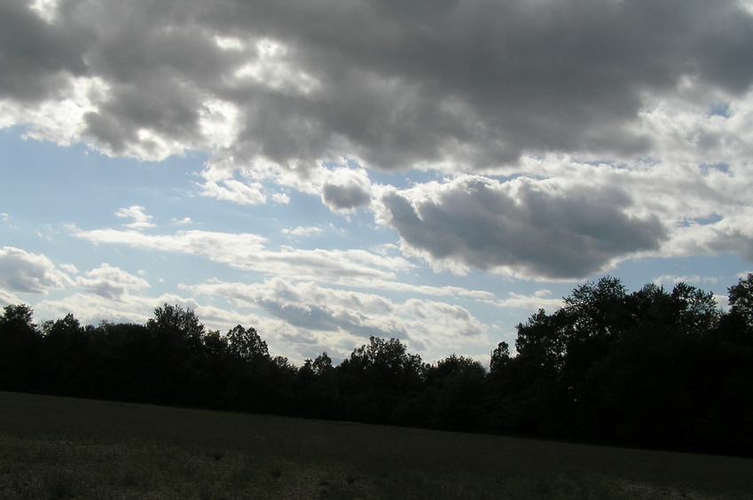 View of the beautiful sky to the west from the confluence.