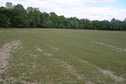 #8: View to the east from the confluence.