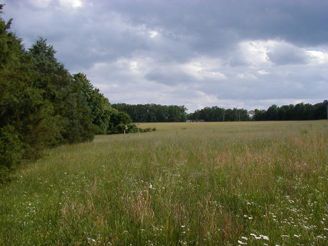 View to the South from the Point