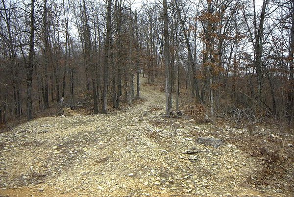 Buggy trail leading from fence to near the confluence