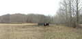 #2: Panoramic shot taken at the confluence