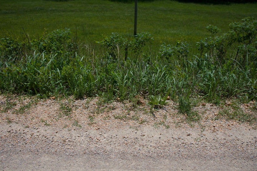 The confluence point lies on the edge of a country road, with farmland beyond