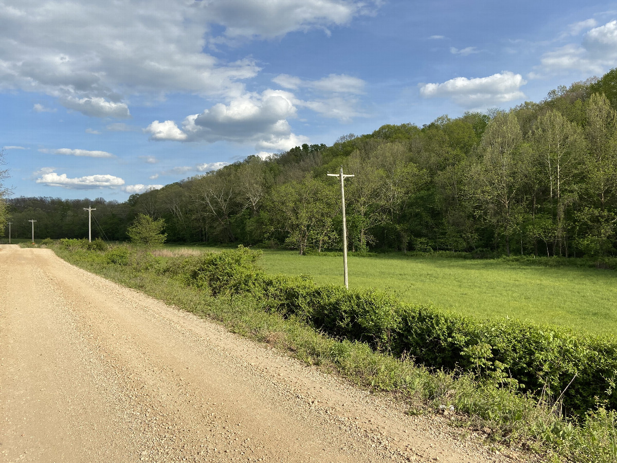 Looking southeast from the confluence point. 