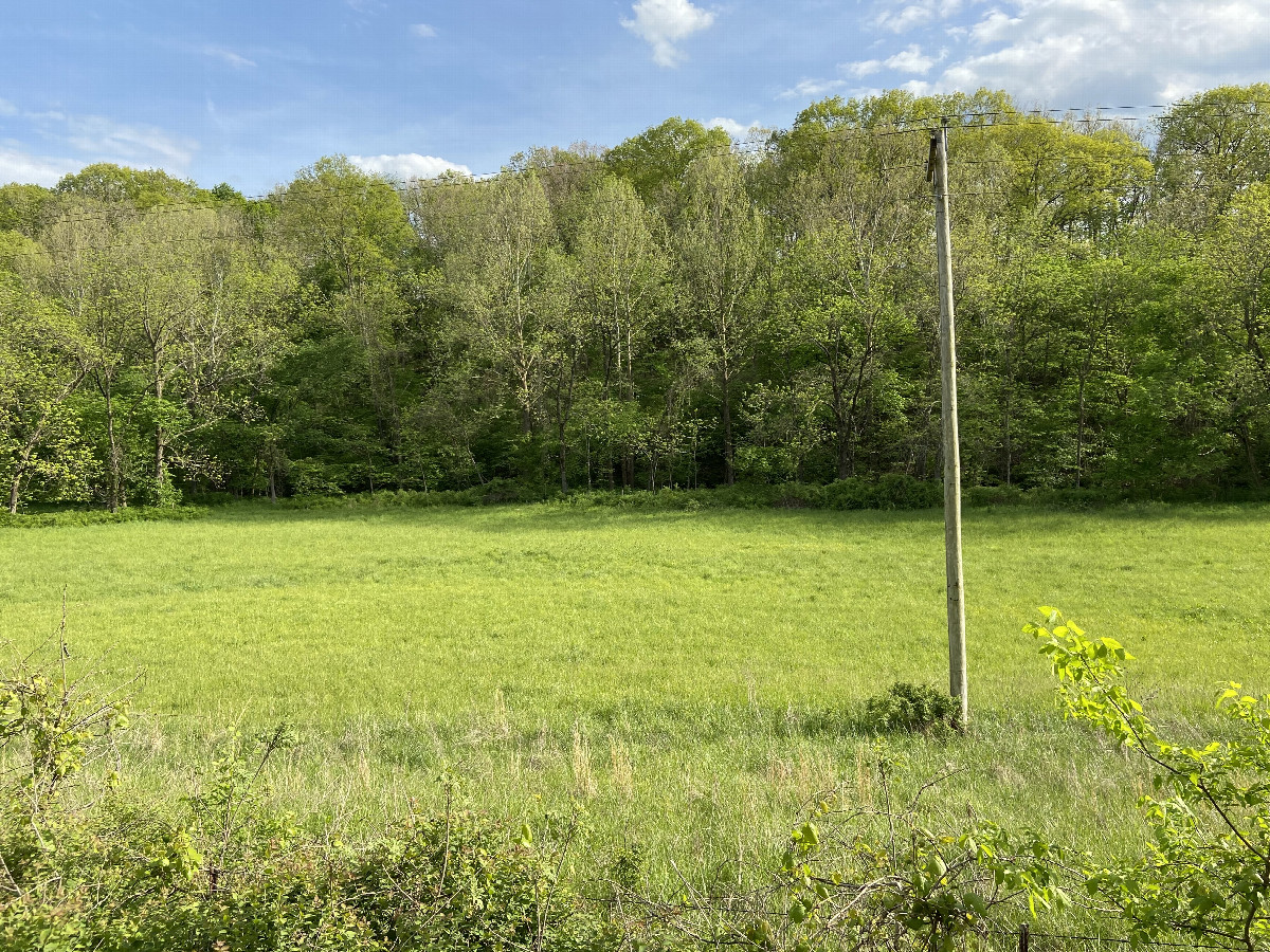 View to the south from the confluence point. 