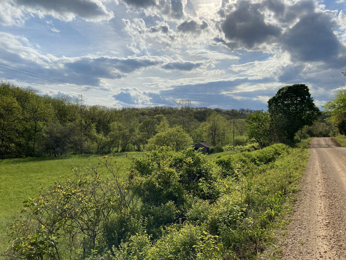 View to the west from the confluence point. 