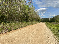 #5: View to the east from the confluence point. 