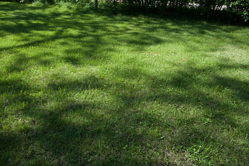 The confluence point lies in the front lawn of a private residence