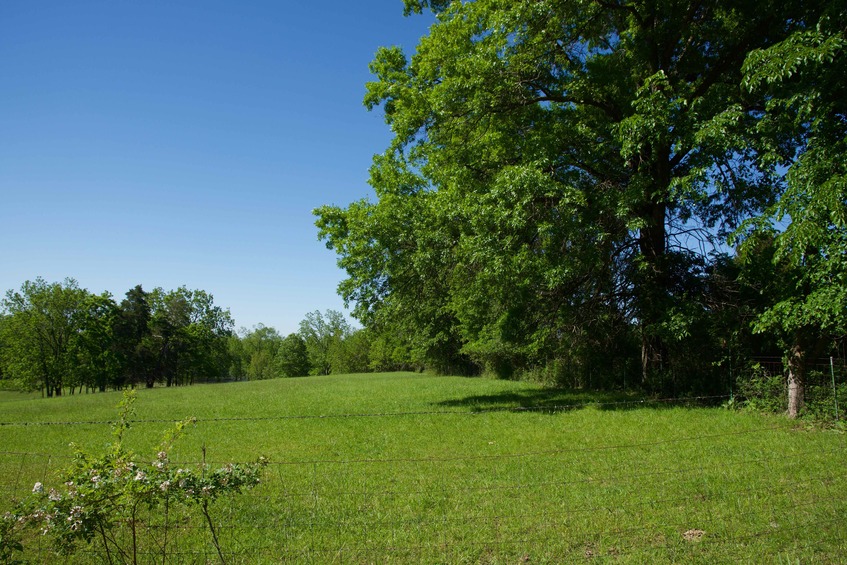 View North (from the country road, 50 feet North of the point)