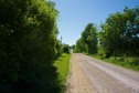 #9: View West (along the country road, from 50 feet North of the point)