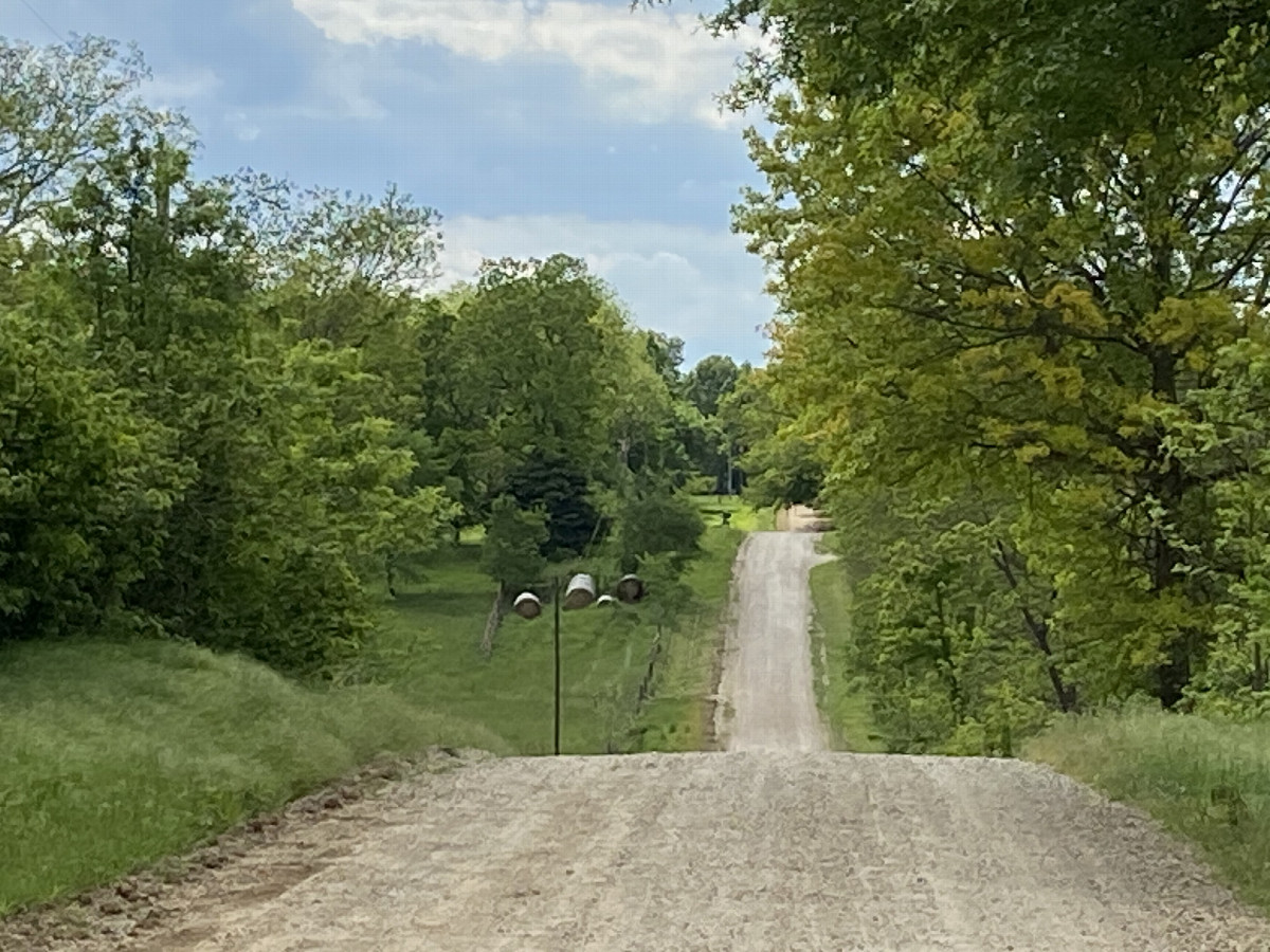 Road to the west from the confluence point. 