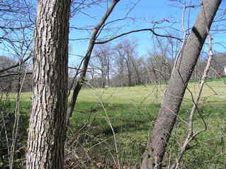 #1: View to the northwest from the confluence of 39 North 91 West.