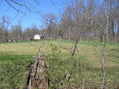 #8: View to the north from the confluence showing the nearest house.