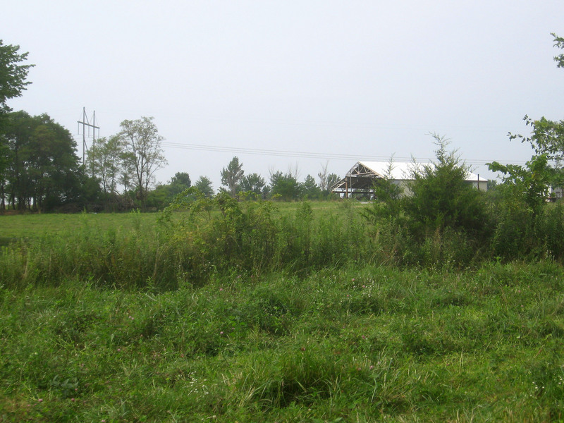 View to the south, outbuilding where we parked in the distance.